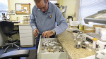 Inside the fight against mosquitoes spreading dengue fever in Florida  Tampa Bay Times