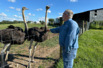 A Kentucky man with a meat allergy was craving a burger So he got into ostrich farming  AP News