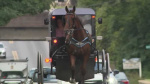Plain community shares perspectives as measles cases rise in Lancaster County  WGAL
