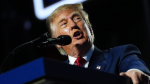 Trump says 5K dividend checks to Americans will happen 100 percent  The Hill