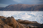 Satellites show Earth lost more than 12 trillion tons of ice from Greenland Antarctica in 47 years  AP News