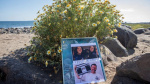 Three men found guilty in the 2024 killing of Australian and US surfers in Mexico  CNN