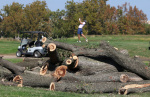 Trump shares plan to overhaul East Potomac golf course amid court fight over land  The Washington Post